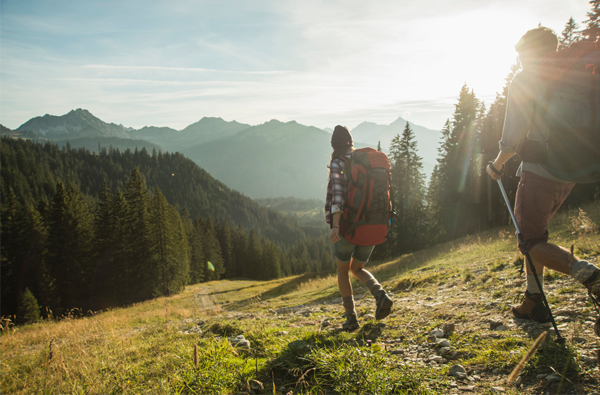 오스트리아 차이